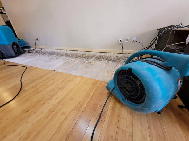 Reliable Basement Flood Cleanup contractor in Colmar, PA by Hirex Water Damage