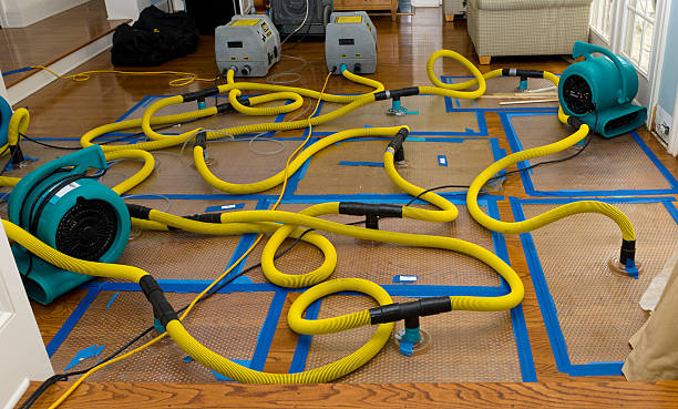 Professional Basement Flood Cleanup technician working in Colmar, PA